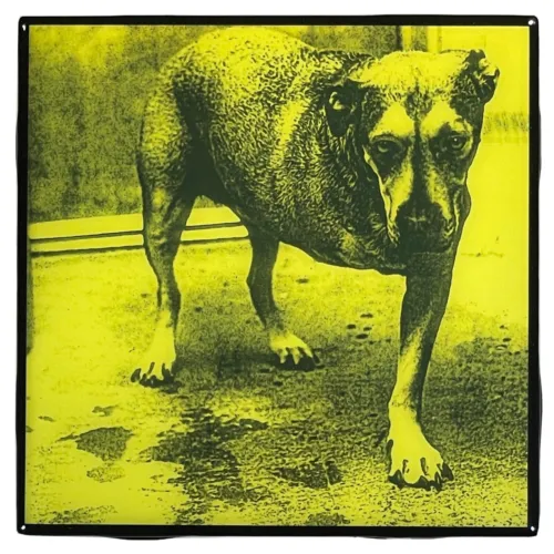 ALICE IN CHAINS Coaster Custom Ceramic Tile s/t