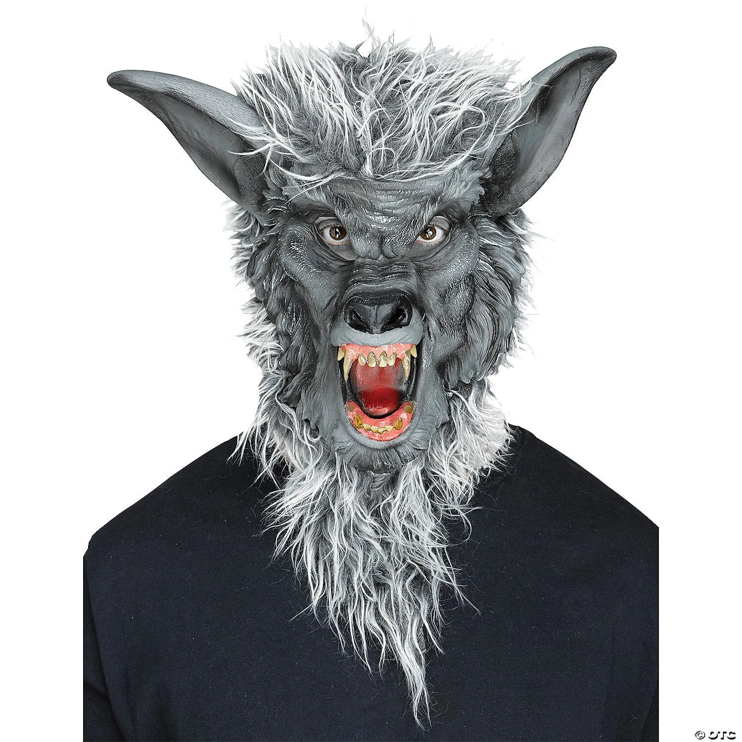 Animal masks