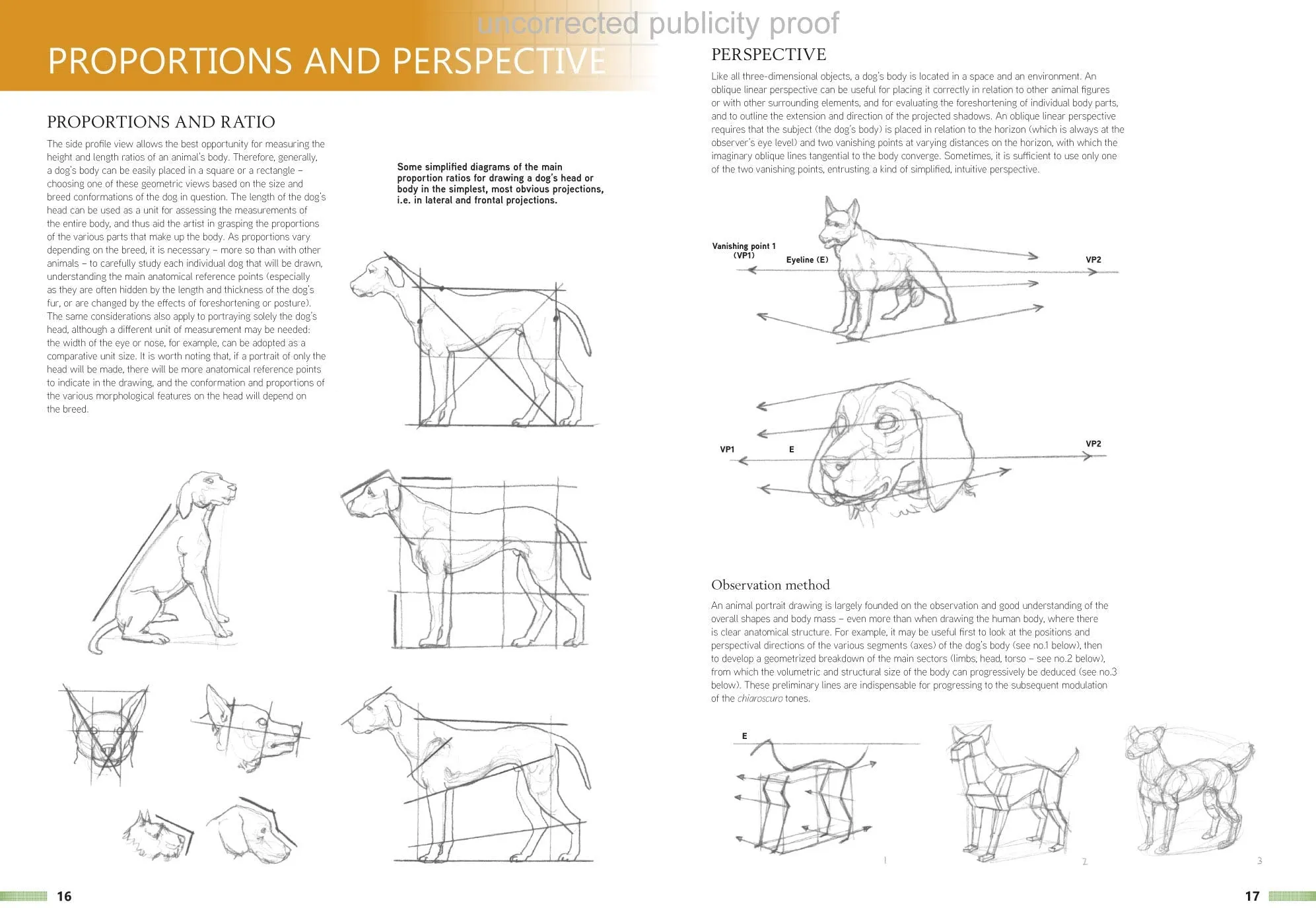 Drawing Animals Using Grids