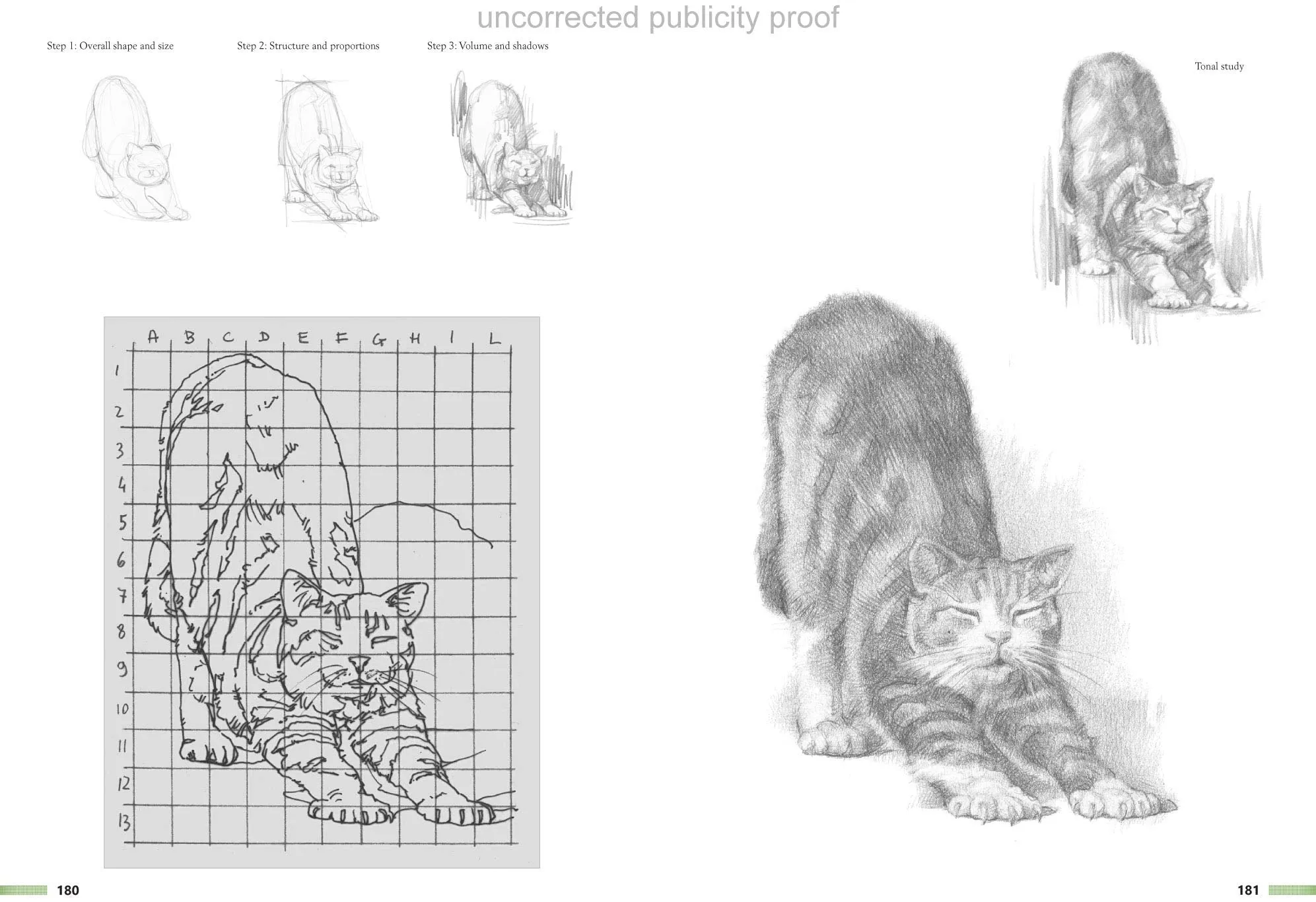 Drawing Animals Using Grids