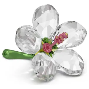Florere Hibiscus Small 5690534