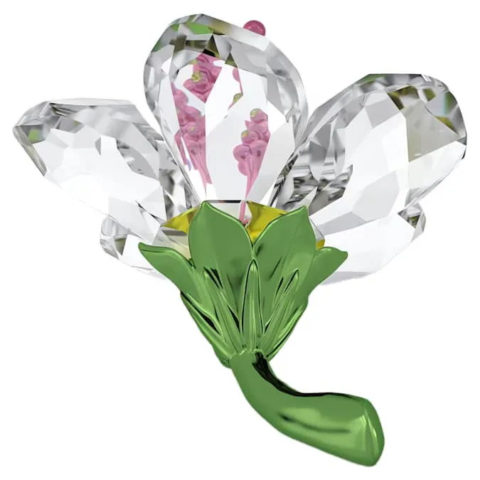 Florere Hibiscus Small 5690534