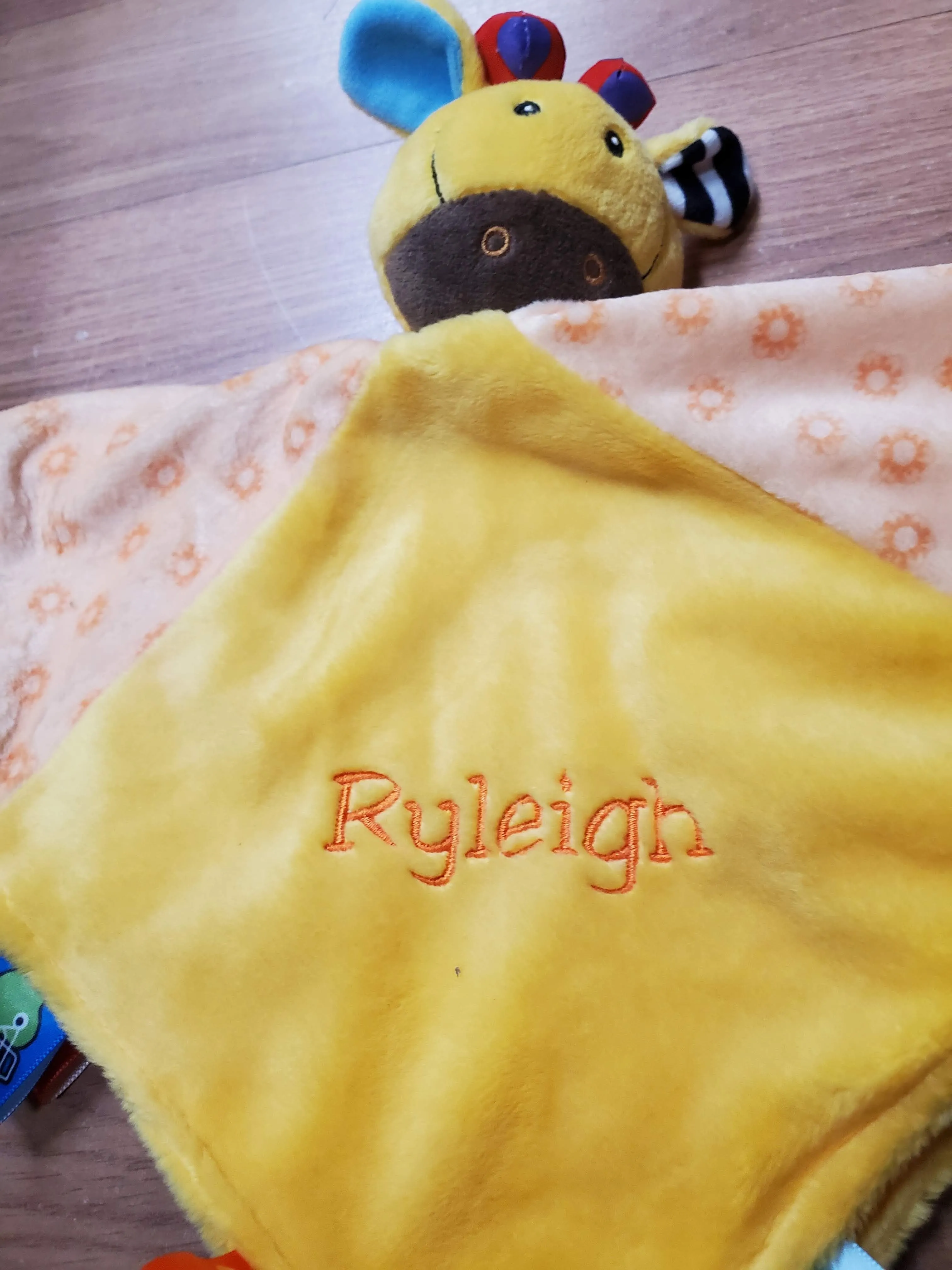 Fun Baby Taggie