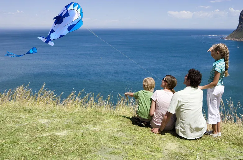Giant 3D Kite: Clown Fish (Nemo), Orca & Whale