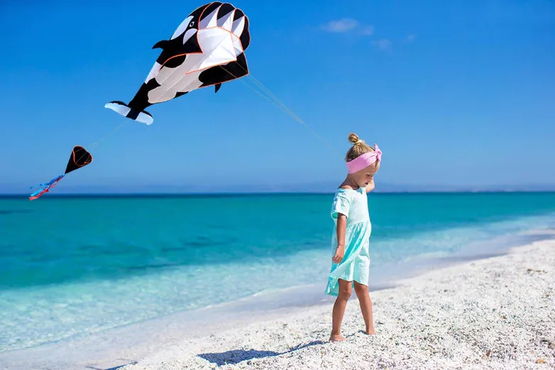 Giant 3D Kite: Clown Fish (Nemo), Orca & Whale