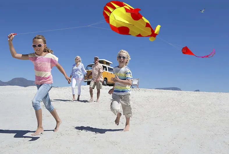 Giant 3D Kite: Clown Fish (Nemo), Orca & Whale