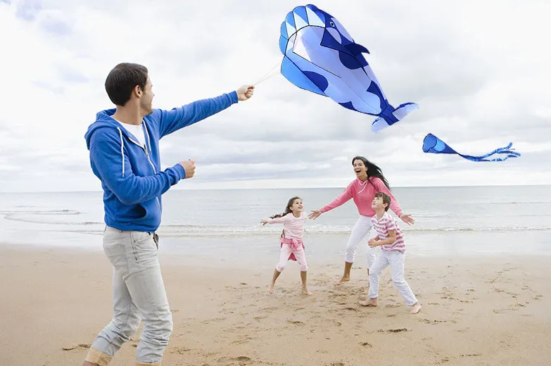 Giant 3D Kite: Clown Fish (Nemo), Orca & Whale
