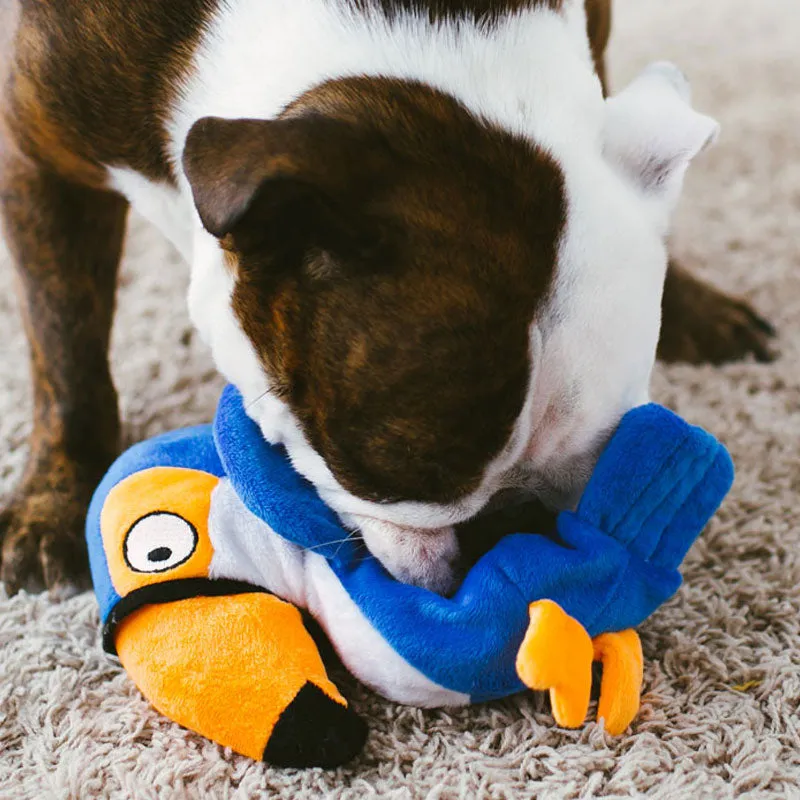 Hatchables Toucan: Inside-Out Dog Toy