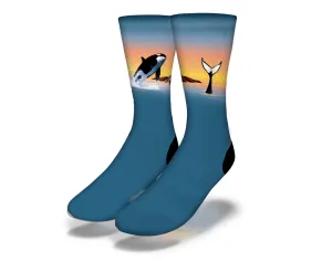 KILLER WHALE BREACHING! Fun Whale Socks