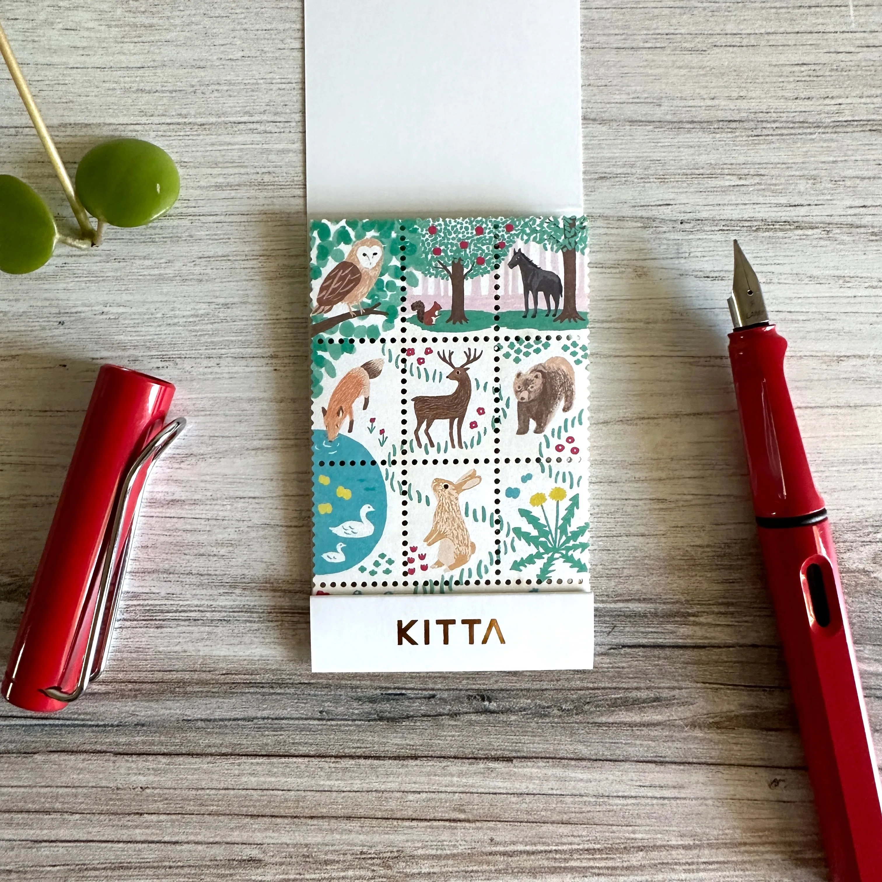 [KITTA] Animal