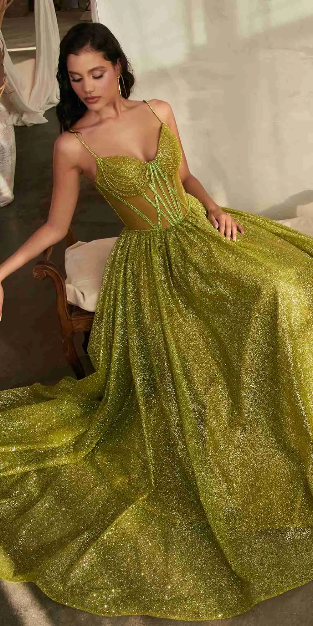 Ladivine CD832 Long Sheer Boned Bodice Glitter Flock Ball Gown