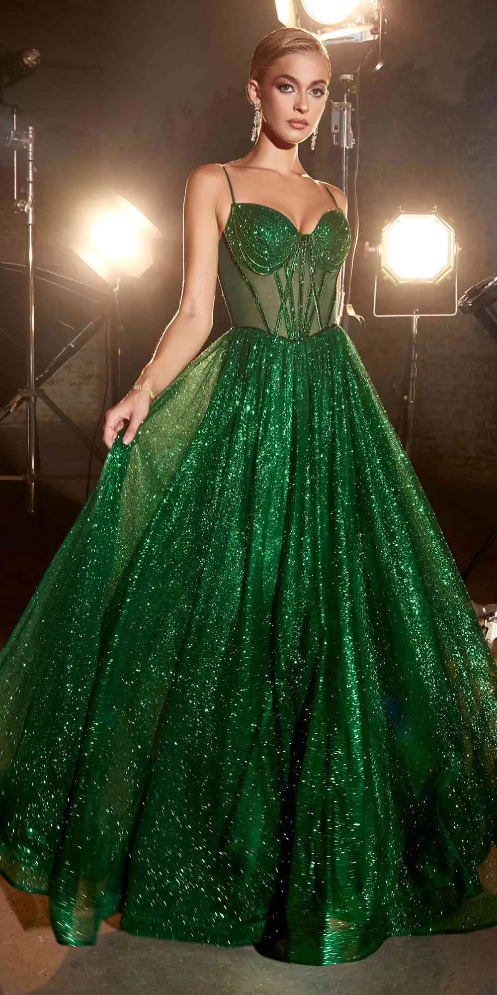 Ladivine CD832 Long Sheer Boned Bodice Glitter Flock Ball Gown