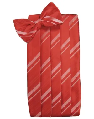 Persimmon Striped Satin Cummerbund