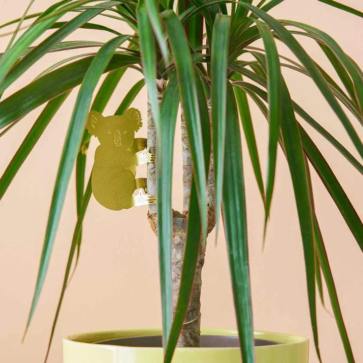 Plant Animal - Koala Bear, garden decor
