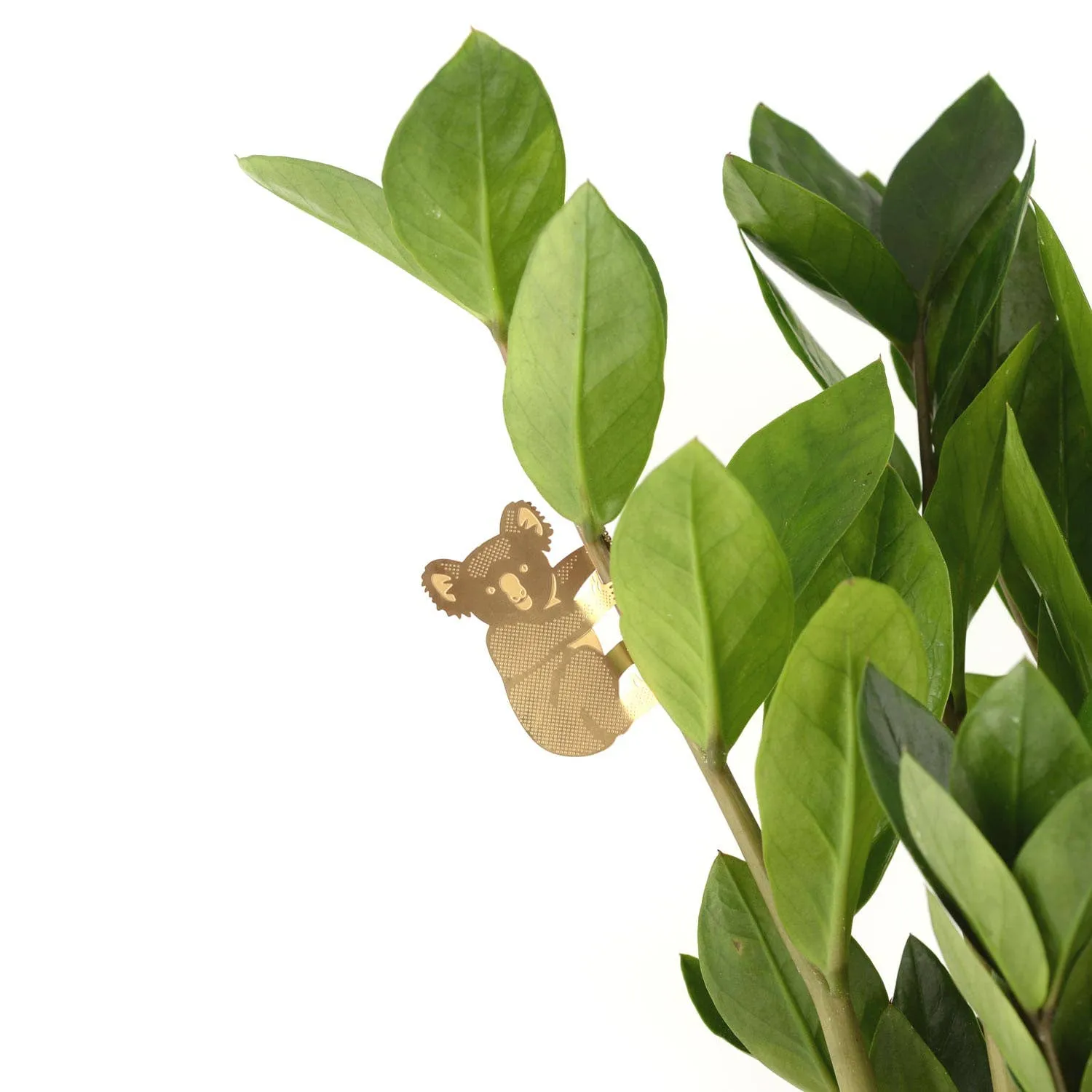 Plant Animal - Koala Bear, garden decor