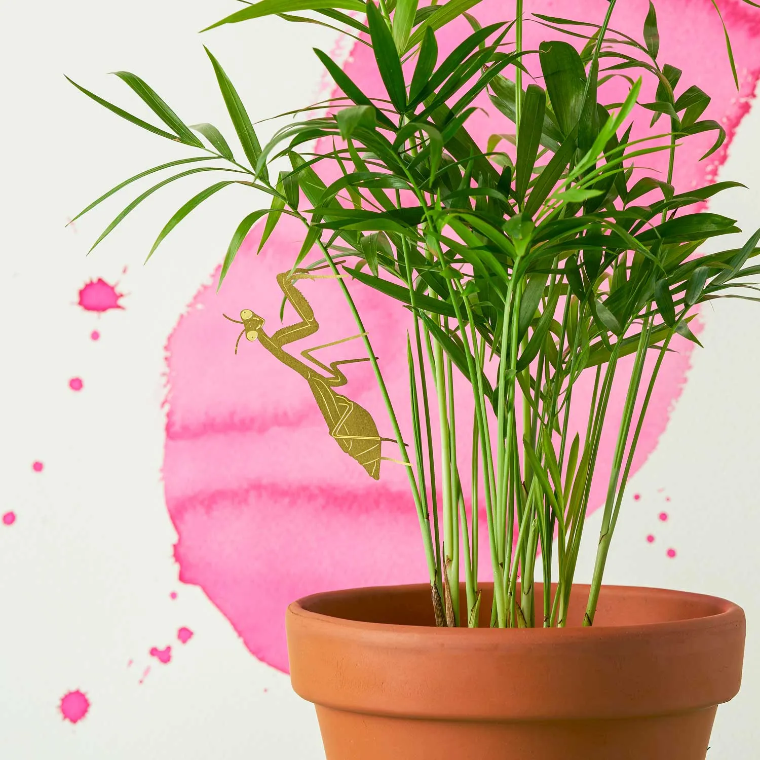 Plant Animal - Praying Mantis, insect plant decoration