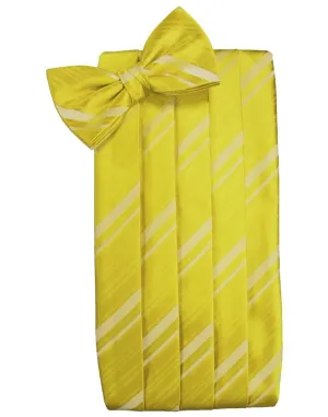 Willow Striped Satin Cummerbund